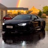 audi_carlover