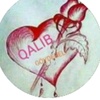 qalib76