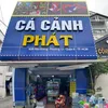 phatcakieng