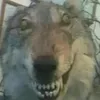 traanhuyy000