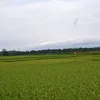 mimun00_