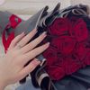 xx_sh55