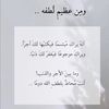 user812588654