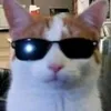 tinymooniez