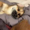 fragileteeth