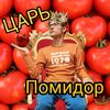 King of tomatos