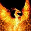 phoenixashes5821