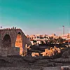 hive_sindi19