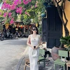 thanhha_vt