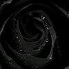 anonymouslydarkness