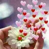 hendjawad