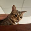 leo840619