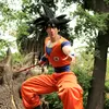 El goku Argentino