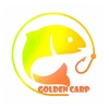 goldencarp19