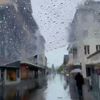 alshanh3