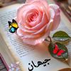 user2444036123793