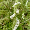 sprerana3
