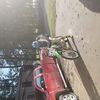 codybower55