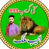 aneebmalik6