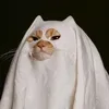 lhdsept
