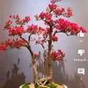 thuanlee889