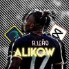 alikow_w