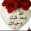 mohamedebrahim067