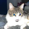 leane_12038