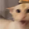 blalalalaalsllaalslalaal