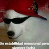 miguelestefania