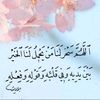ayd055