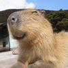 galacticcapybara