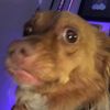 maliasbubble