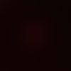 jaqz_l