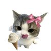 jungnath_