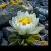huyen.986