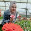 ss_adahhh