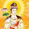 vaihoangthao2