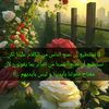 saher_545