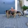 ginoorsini0