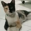moms_syifa_ridho02