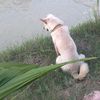 taohu.18