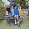 joanneharding3