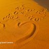 nader_3130