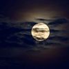 moon_lover.66
