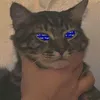 user051201ywy