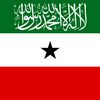 abraarahmed04