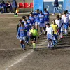 marianna.guadagnolo_
