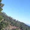 naveedakbar27