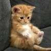 ajulianazz